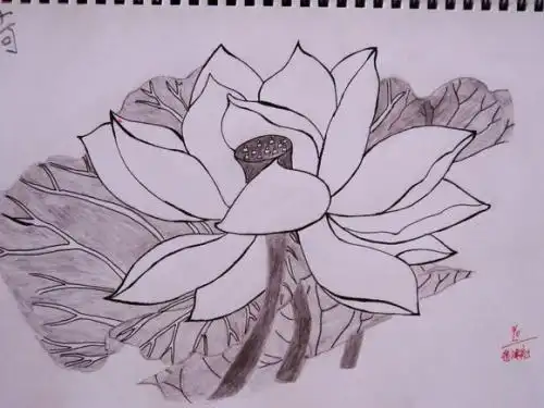 美术画画图片大全简单初中简笔画大全春初中生初中美术作业简单人物