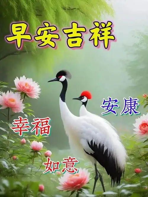 令人感到温暖的正能量问候语,免打字好看的早上好表情包图片