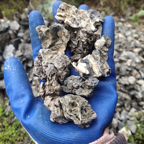 青龙石造景水族鱼缸造景石 装饰水草缸山水石 造景石阳台(包邮)