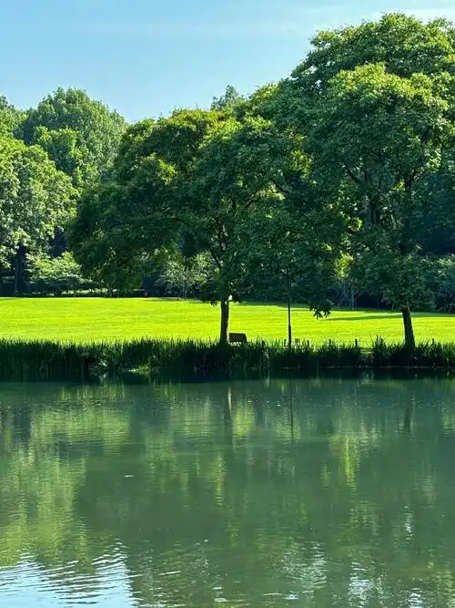 入夏的太子湾公园