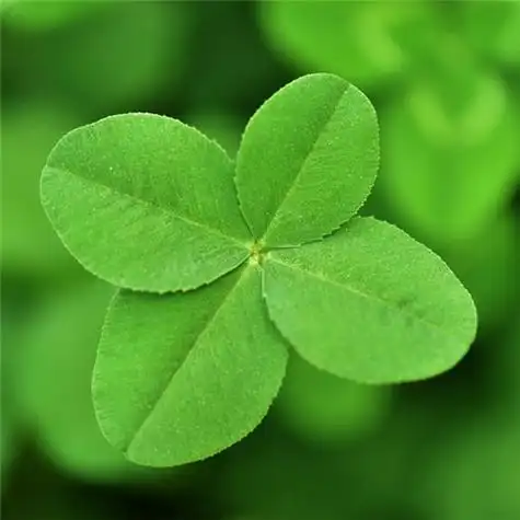 给人一种阳光的头像 高清好看充满阳光朝气的微信头像图片_微信头像