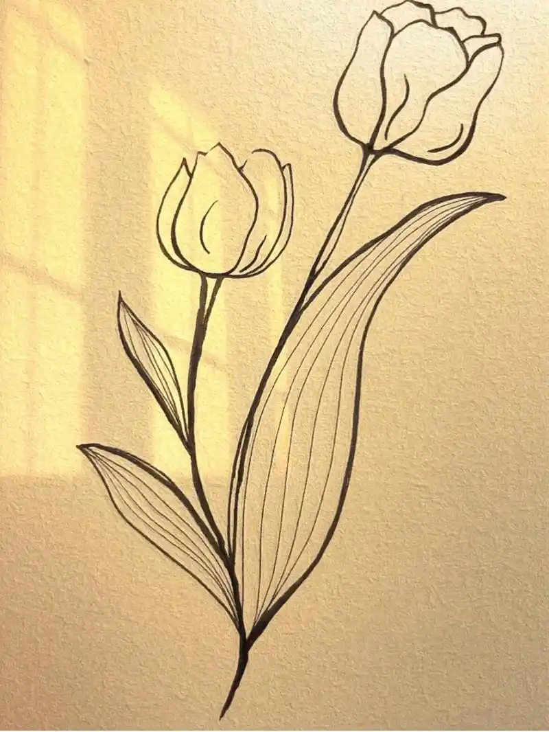 简笔画·郁金香.#画画 #一起学画画 #手绘 #花卉 #简笔 - 抖音