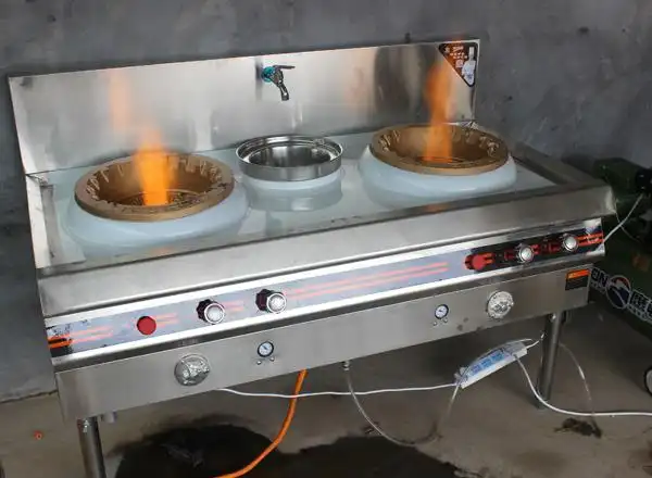 不锈钢植物油灶-河南炬燃(在线咨询)-植物油灶