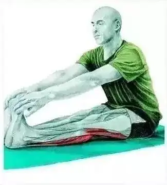 6组33个拉伸动作带你健身前后全面拉伸