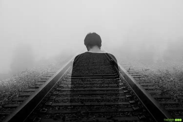 l甲基叶酸补充剂在抑郁症治疗中的作用