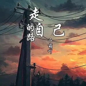 走自己的路remix