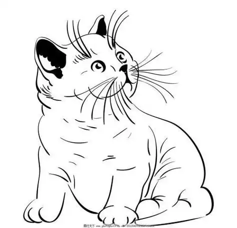 线条小猫情侣头像图片大全可爱6小猫咪简笔画图片简