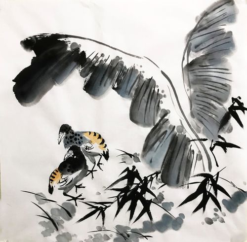 芭蕉精品无款画芯宣纸题款定制写意四尺斗方国画