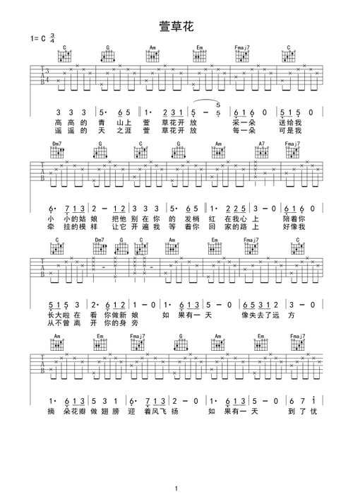 萱草花新手简单版