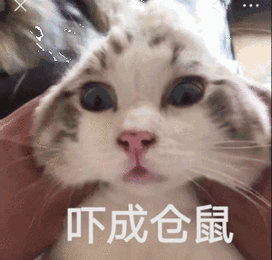 为什么保时捷卡宴在追尾凯迪拉克凯雷德时如此脆弱?