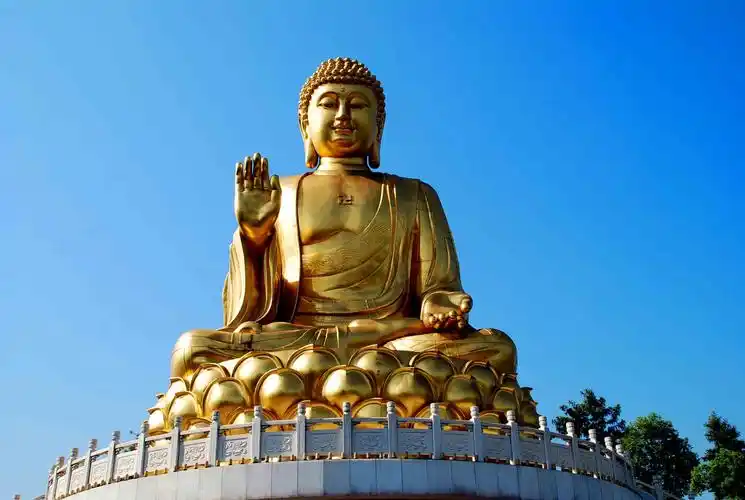 佛教画中那种像莲花一样的背景叫什么?或者谁给我图也行