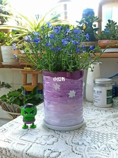 奶粉桶改造花盆