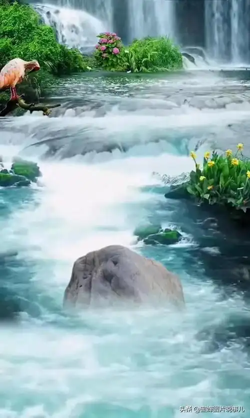 大自然春天美景图片超高清大自然风景山水