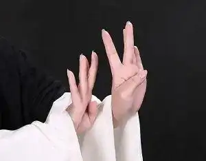 梅馆云端展手舞艺术梅派兰花指摄影展