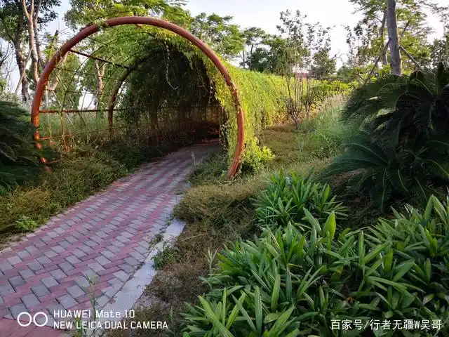 分享一组福建石狮市郊外的湿地公园