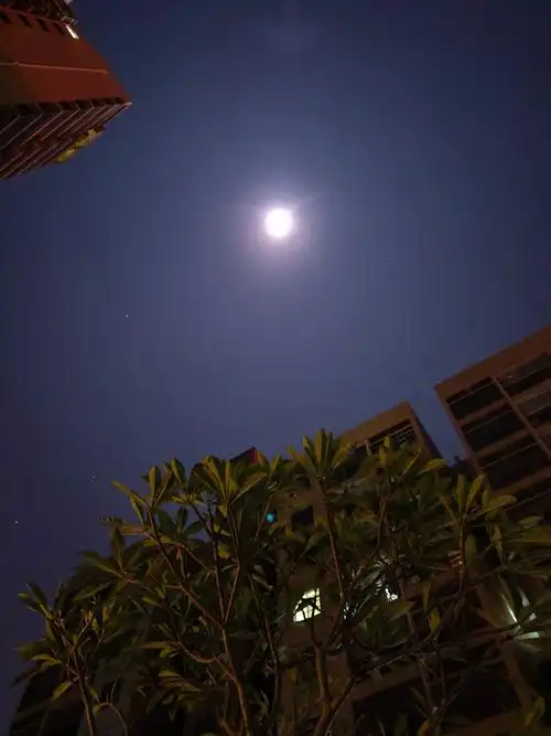 夜深人静,明月高挂 - 轻摄影 - 一加手机社区官方论坛