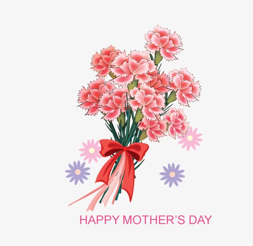 卡通康乃馨花束1