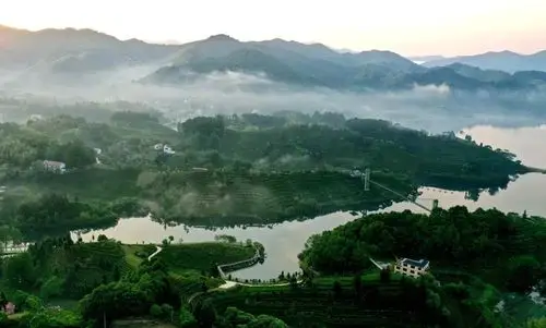 新闻 图片库 图片大别山深处的安徽省六安市金寨县油坊店乡是六安茶谷