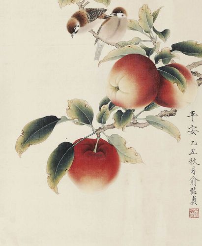 工笔画底稿俞致贞工笔花鸟苹果小品白描7#打印稿宣纸稿