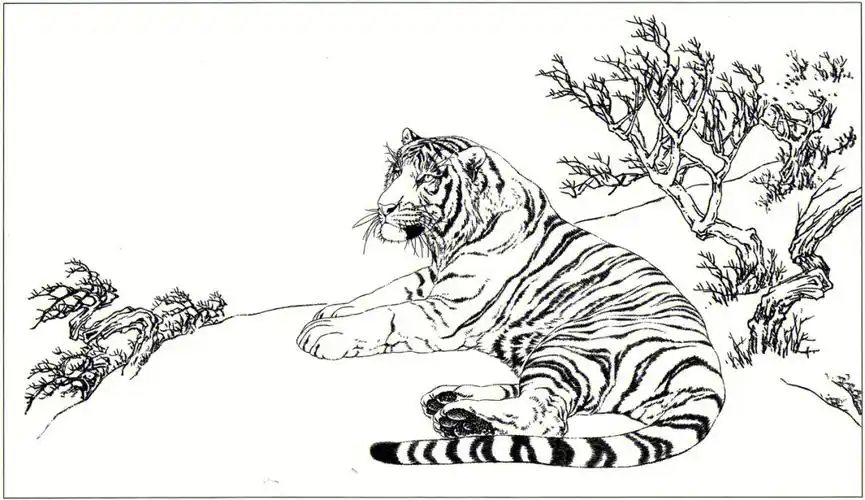 工笔白描动物素材266老虎支持细节放大