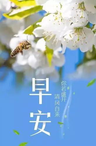 早上好祝福语和图片适合群发的早上好表情简单句子2019