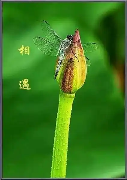 相遇相识相知相契