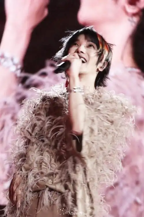 意味着有日出看,只有拥有雏鸟般意志的人才能看得了日出!