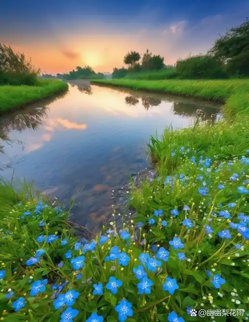 河边好美的风景啊