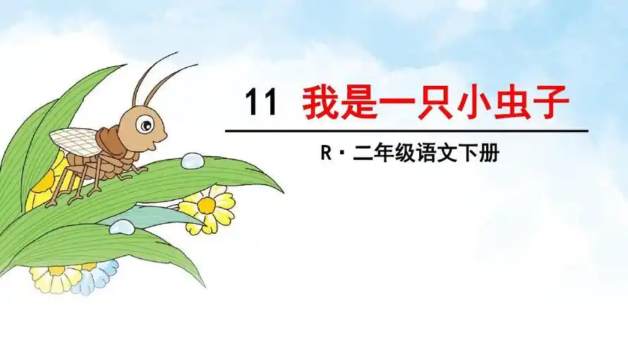 统编版二年级语文下册第11课《我是一只小虫子》优质课件