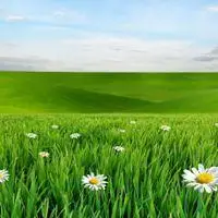 2020最新唯美微信头像绿色养眼【点击鼠标右键下载】