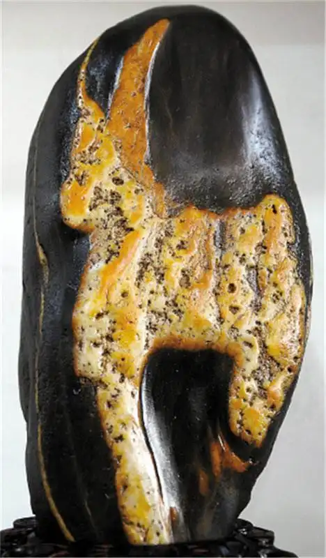 最贵的奇石动物图案15张