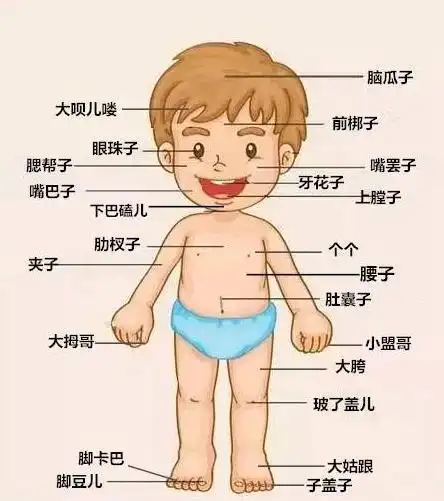 为给孩子科普人体构造女老师大胆穿肉衣学生铭记于心