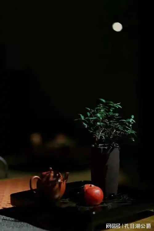 茶虫侃茶——茶之意境|茶文化|南方人|茶道|茶镜_网易订阅