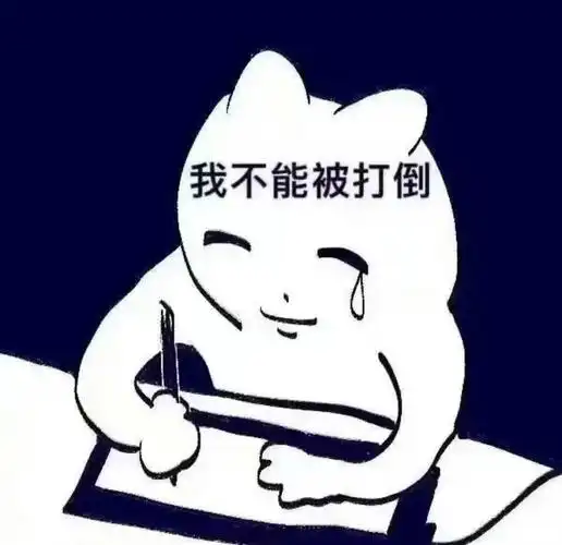 卸载了我真的要开始学习了