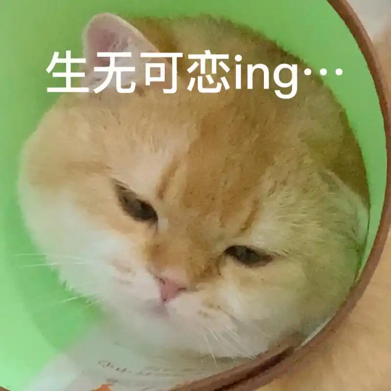 生无可恋表情包系列摆烂人必备 失去我地球还转的动 开摆吧02表情包