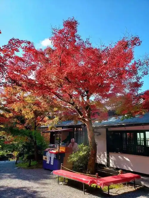 抛开历史,日本真的是个适合旅行的国家,一年去了6次分享一些美景