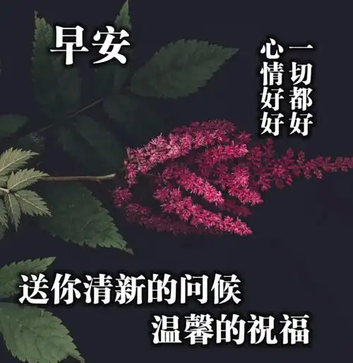 微信早晨好图片带问候语星期三早安祝福语表情带句子
