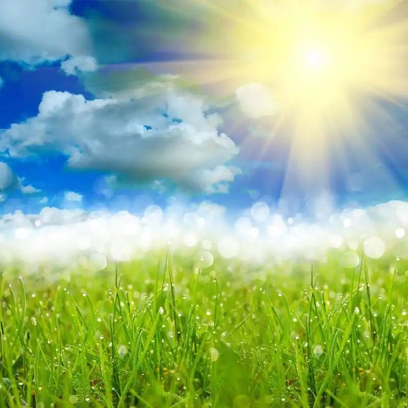蓝天白云阳光与草地背景