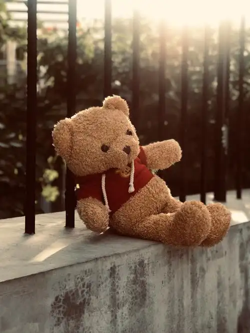 等候夕阳的小熊(拍摄于宿舍楼下躺在栏杆旁的小熊玩偶)