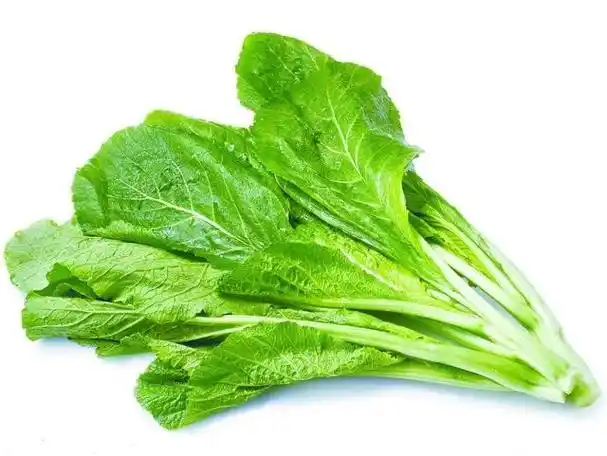 蔬菜种类有哪些(常见的100种蔬菜种类名称)