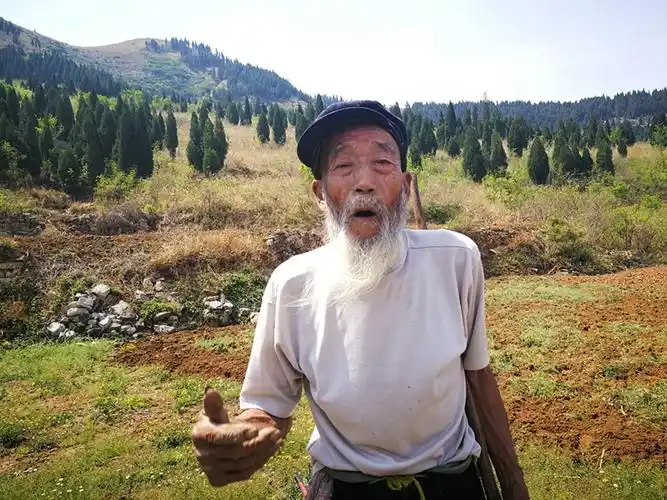 八旬老大爷深山开荒地,挖出10多种"宝贝"他说不稀罕