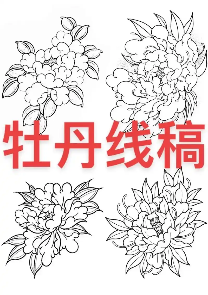 牡丹纹身手稿 #牡丹纹身图案 #牡丹纹身 喜欢的 - 抖音