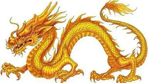 威武霸气的五爪金龙,看到它你腿软了嘛?