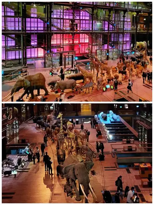 原来是熏死我0909一进去博物馆大门,就扑面而来一股屎味,眼睛还没