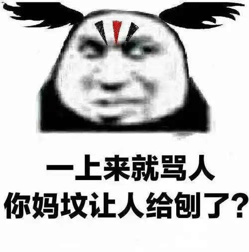 上来就骂人,你妈坟让人给刨了?表情包-表情包网站