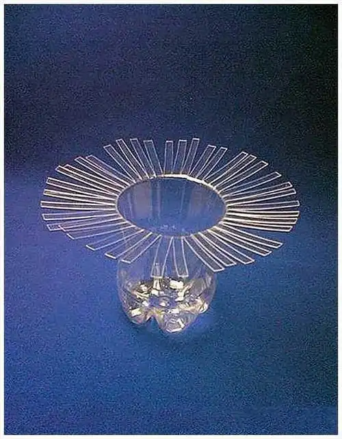 矿泉水瓶废物利用 改造美丽花瓶