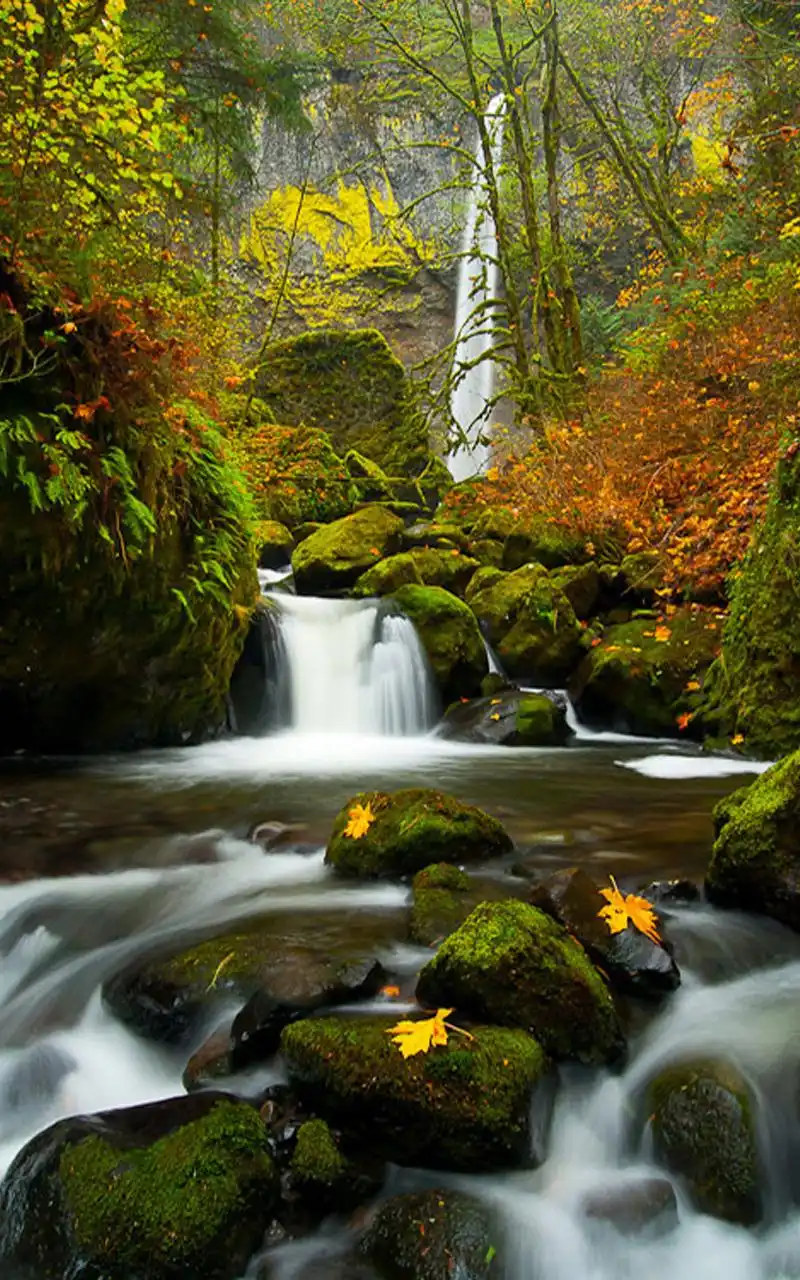 唯美瀑布自然风景图片手机壁纸