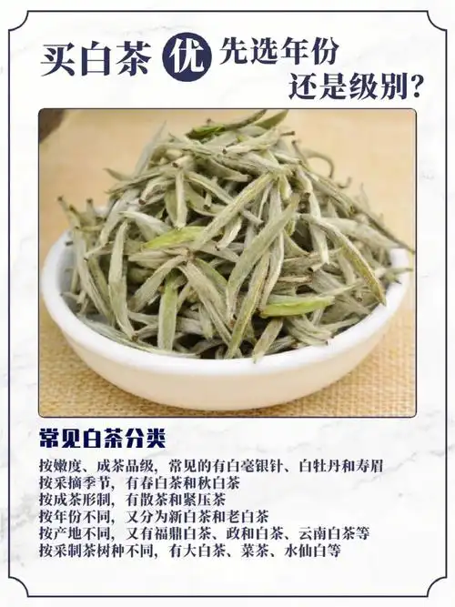 购买白茶先考虑品级还是年份71
