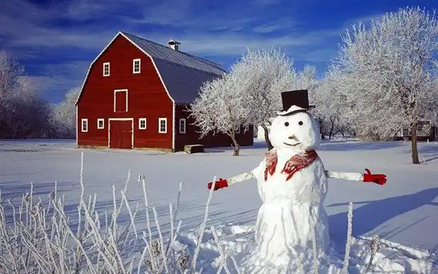 冬天雪人雪景唯美图片
