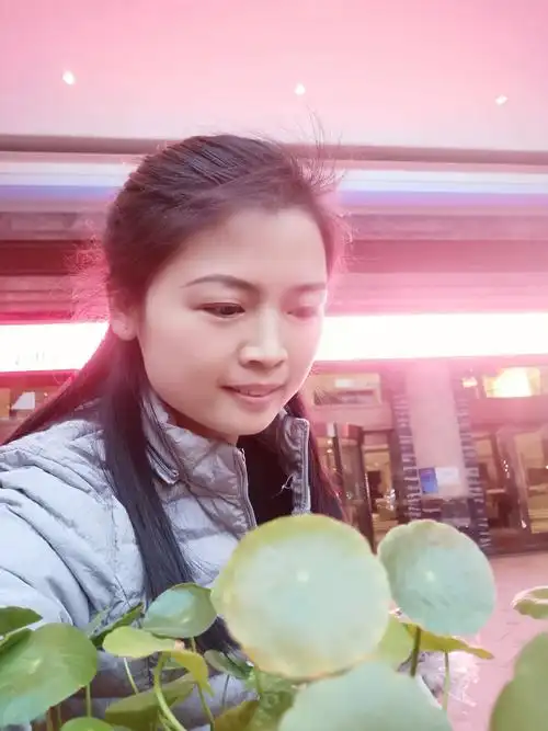 曾经以为,只要努力就会有惊喜;现实生活,并非尽如人意